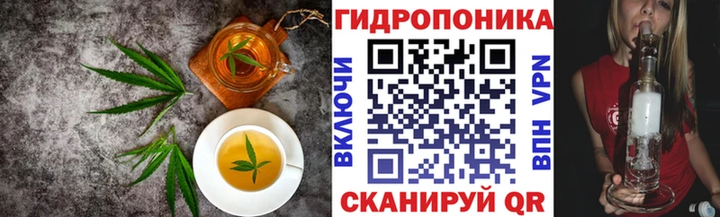 цена   Ахтырский  Canna-Cookies конопля 