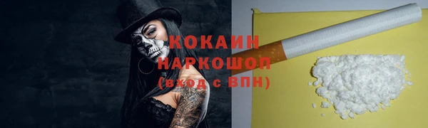 стафф Алексин