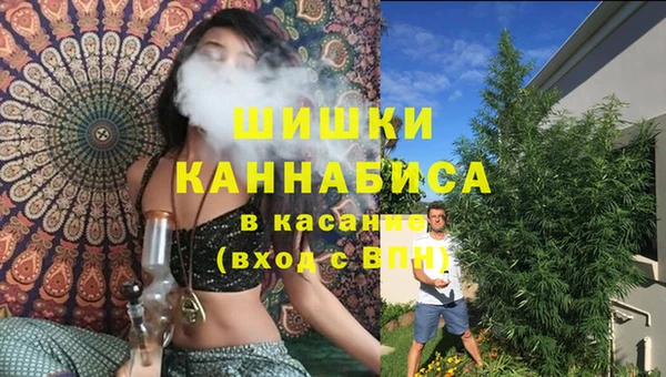 мяу мяу мука Алзамай