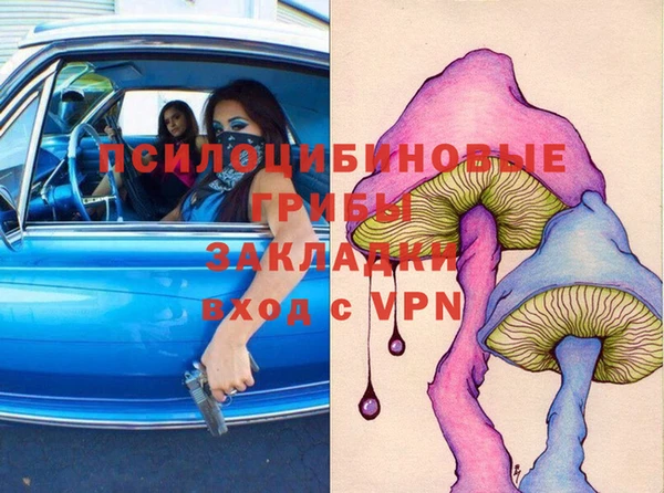 стафф Алексин