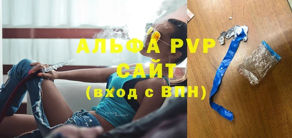 стафф Алексин