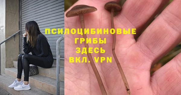 стафф Алексин