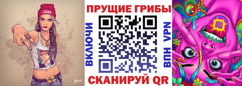 Псилоцибиновые грибы Magic Shrooms  Ахтырский 